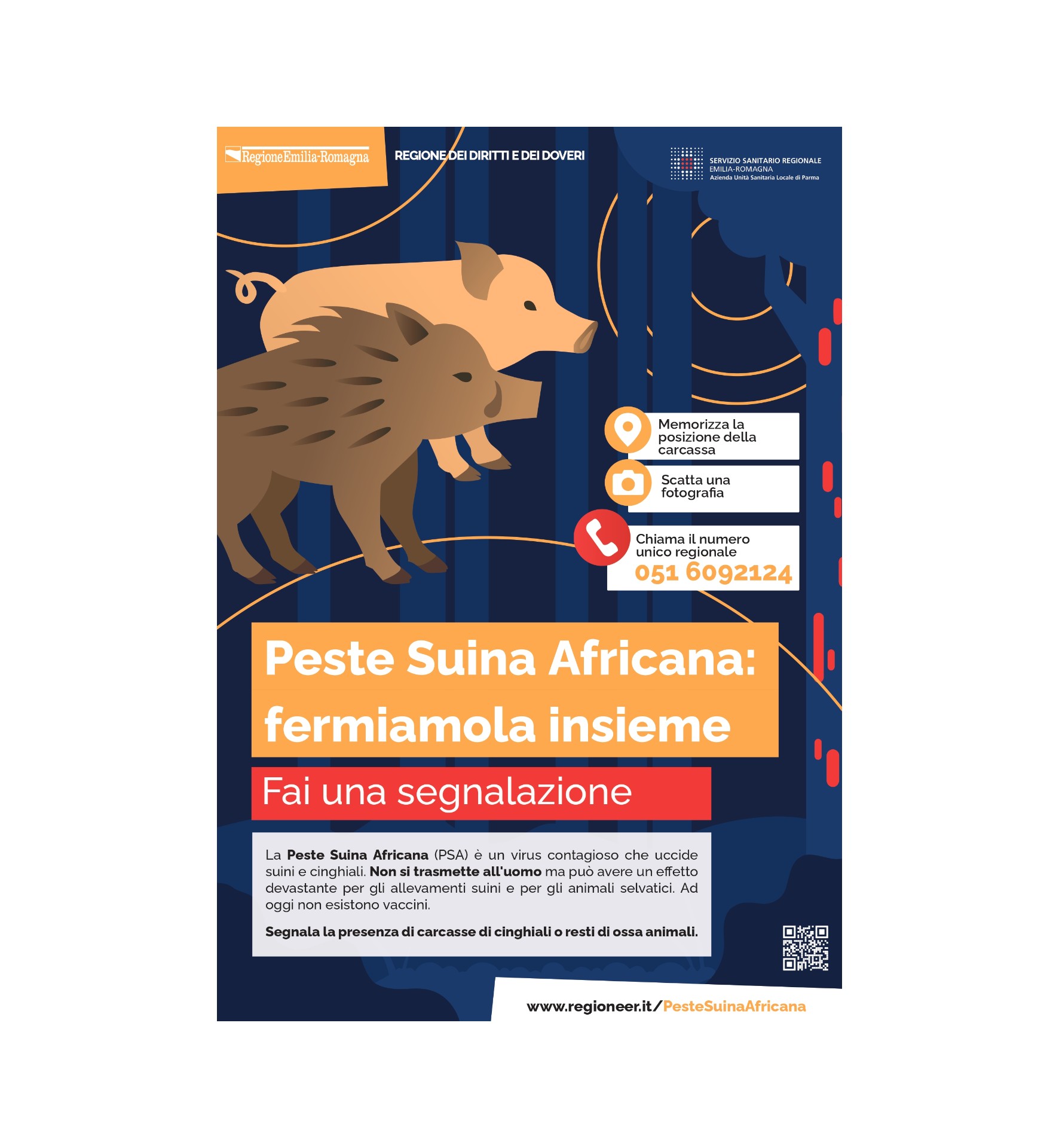 Peste Suina Africana: preveniamo insieme | Comune di Varsi